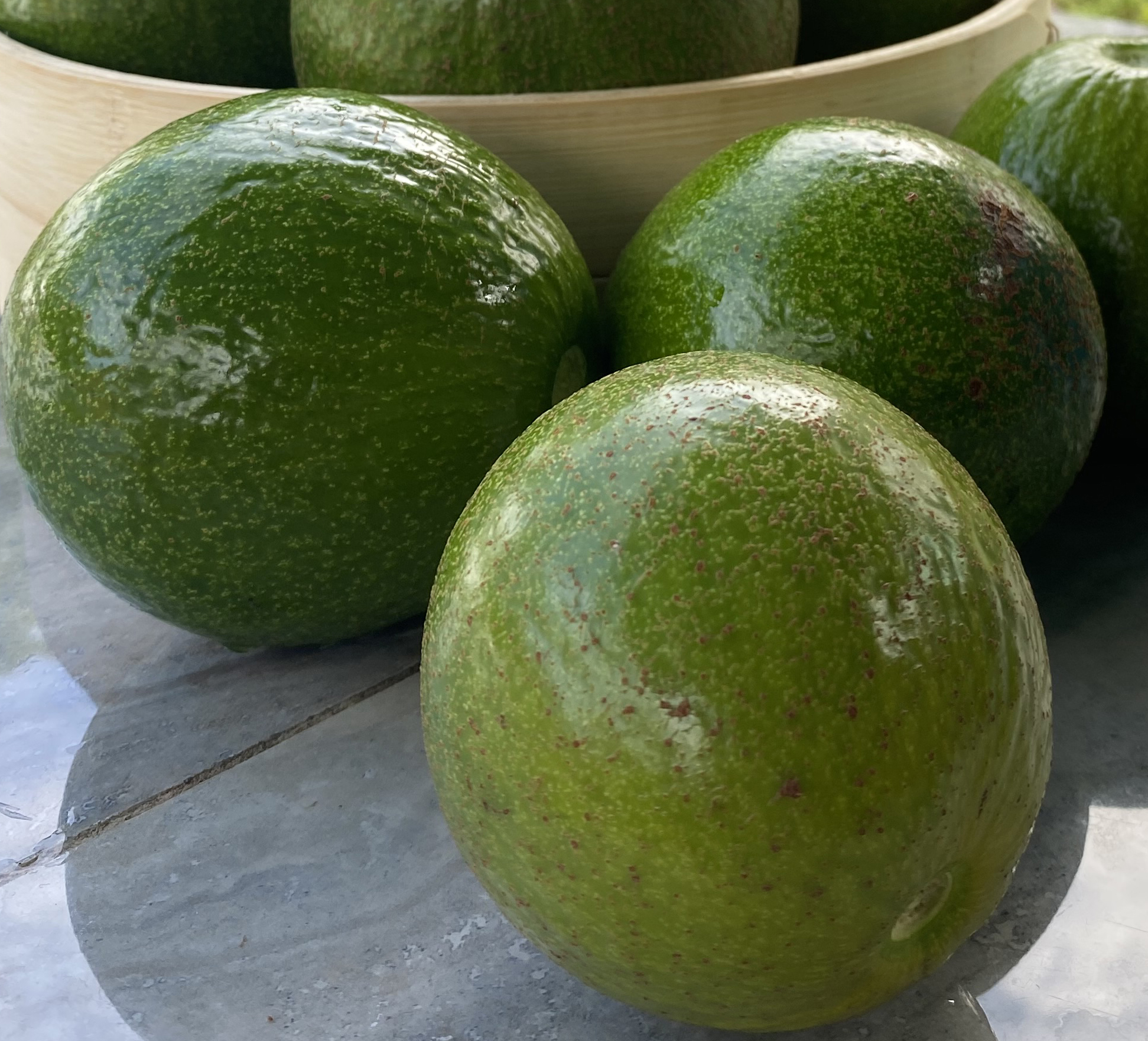 Avocado grown at Heaven on Hawaii